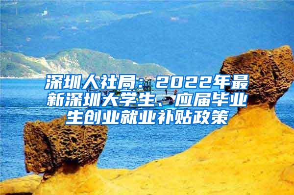 深圳人社局：2022年最新深圳大学生、应届毕业生创业就业补贴政策