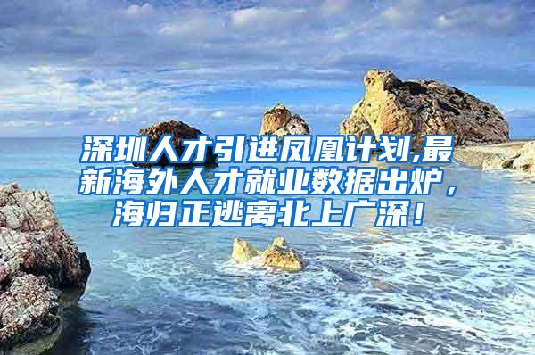 深圳人才引进凤凰计划,最新海外人才就业数据出炉，海归正逃离北上广深！