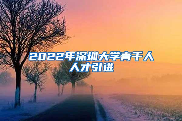 2022年深圳大学青千人人才引进