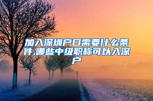 加入深圳户口需要什么条件,哪些中级职称可以入深户