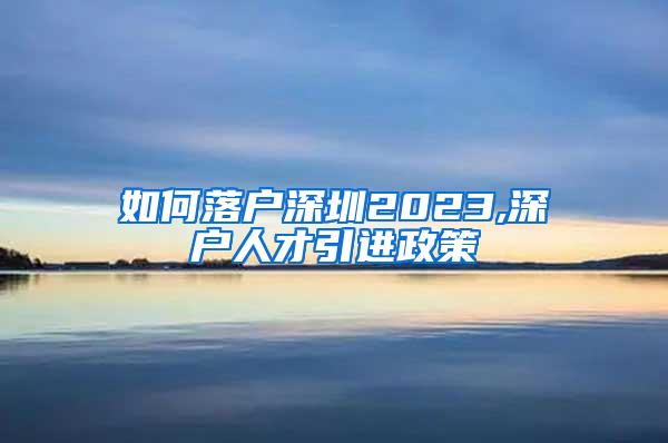 如何落户深圳2023,深户人才引进政策