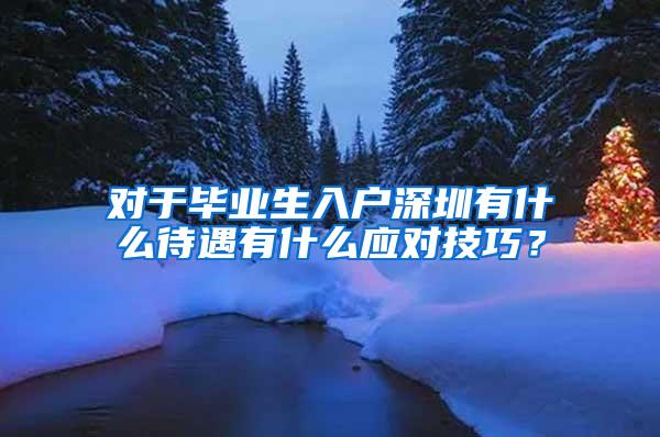 对于毕业生入户深圳有什么待遇有什么应对技巧？