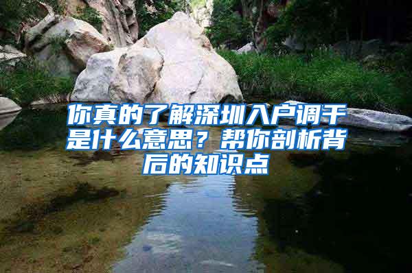 你真的了解深圳入户调干是什么意思？帮你剖析背后的知识点