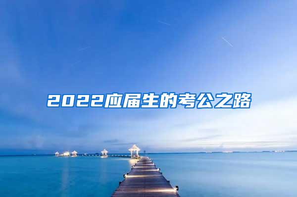 2022应届生的考公之路