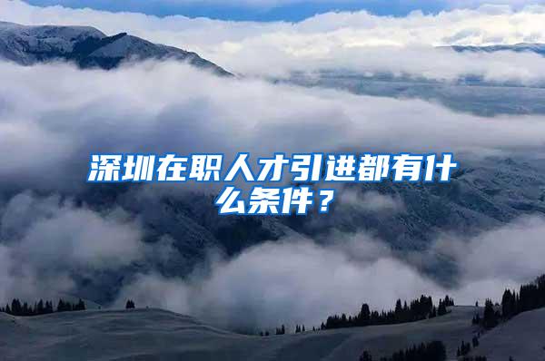 深圳在职人才引进都有什么条件？