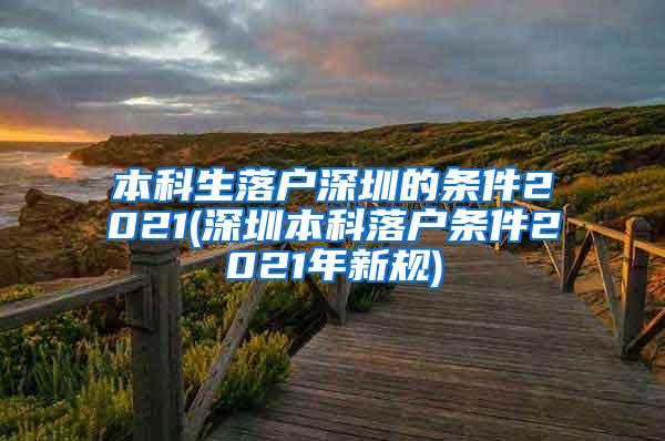 本科生落户深圳的条件2021(深圳本科落户条件2021年新规)