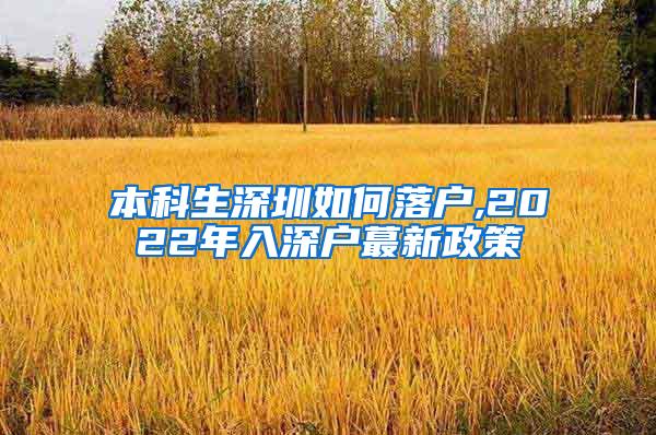 本科生深圳如何落户,2022年入深户蕞新政策