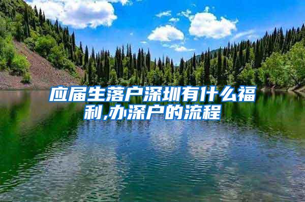 应届生落户深圳有什么福利,办深户的流程