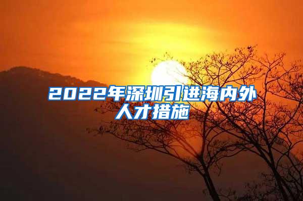 2022年深圳引进海内外人才措施