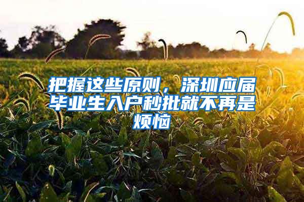 把握这些原则，深圳应届毕业生入户秒批就不再是烦恼