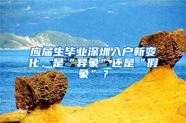 应届生毕业深圳入户新变化，是“异象”还是“假象”？