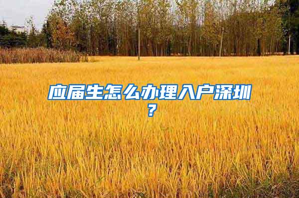 应届生怎么办理入户深圳？