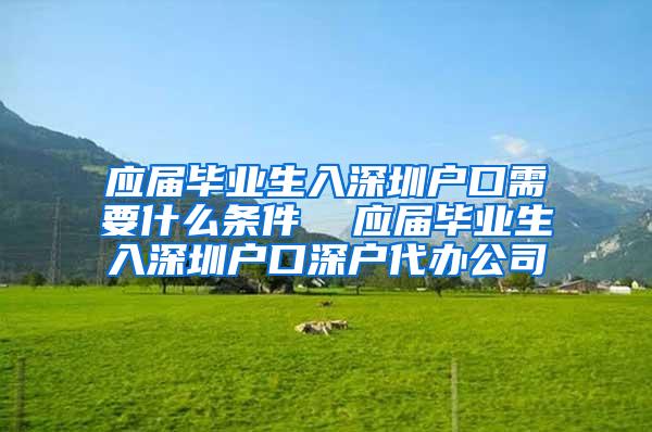 应届毕业生入深圳户口需要什么条件  应届毕业生入深圳户口深户代办公司