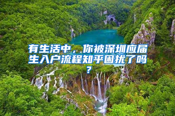 有生活中，你被深圳应届生入户流程知乎困扰了吗？