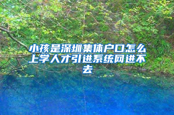 小孩是深圳集体户口怎么上学人才引进系统网进不去