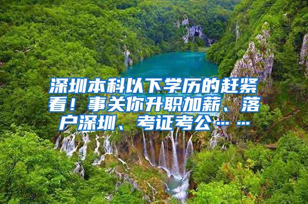 深圳本科以下学历的赶紧看！事关你升职加薪、落户深圳、考证考公……