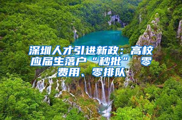 深圳人才引进新政：高校应届生落户“秒批” 零费用、零排队