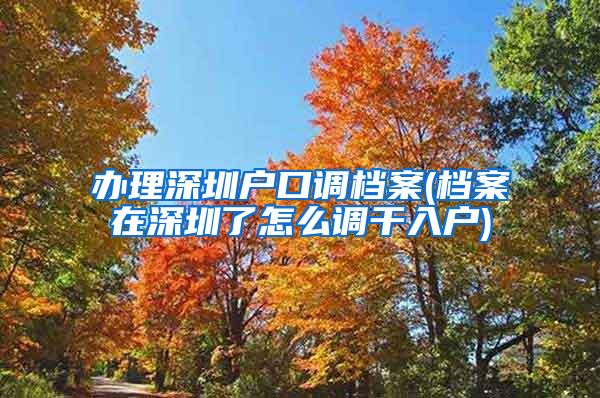 办理深圳户口调档案(档案在深圳了怎么调干入户)