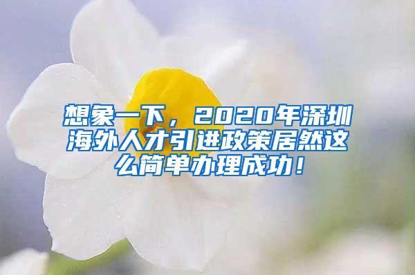 想象一下，2020年深圳海外人才引进政策居然这么简单办理成功！