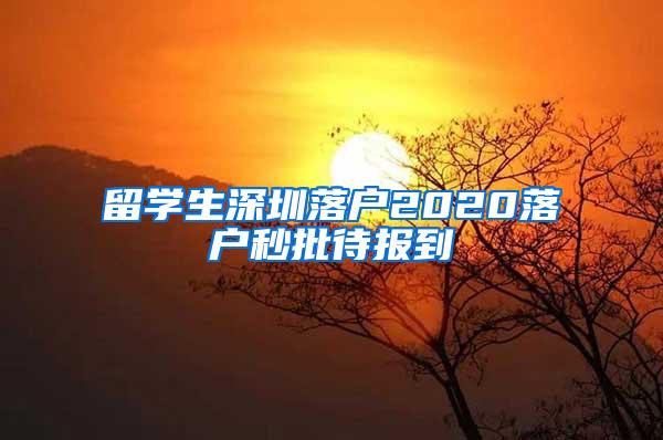 留学生深圳落户2020落户秒批待报到