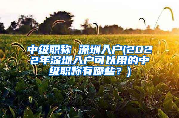 中级职称 深圳入户(2022年深圳入户可以用的中级职称有哪些？)