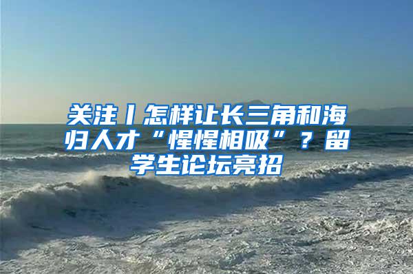 关注丨怎样让长三角和海归人才“惺惺相吸”？留学生论坛亮招