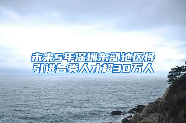 未来5年深圳东部地区将引进各类人才超30万人