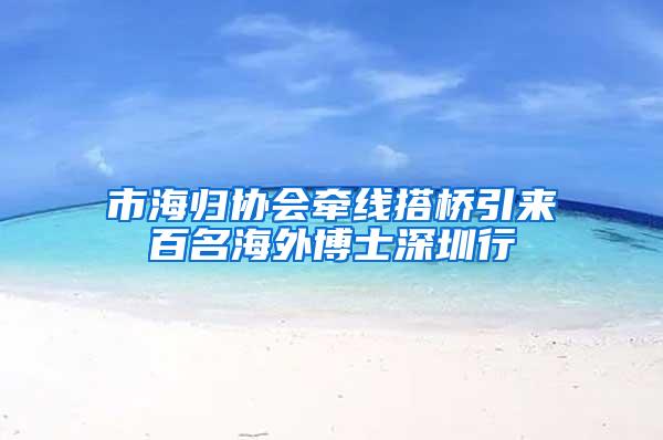 市海归协会牵线搭桥引来百名海外博士深圳行