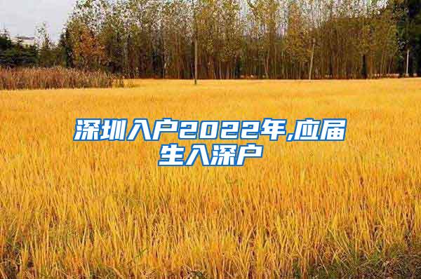 深圳入户2022年,应届生入深户