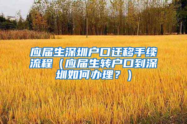 应届生深圳户口迁移手续流程（应届生转户口到深圳如何办理？）