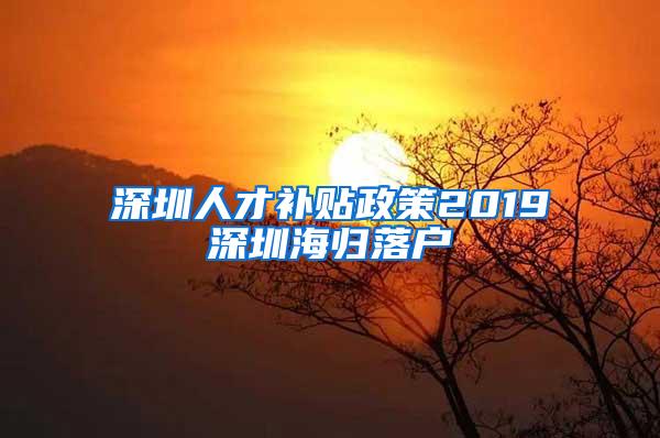 深圳人才补贴政策2019深圳海归落户