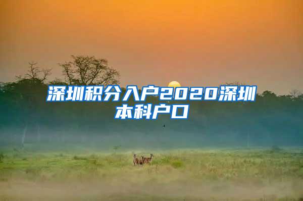 深圳积分入户2020深圳本科户口