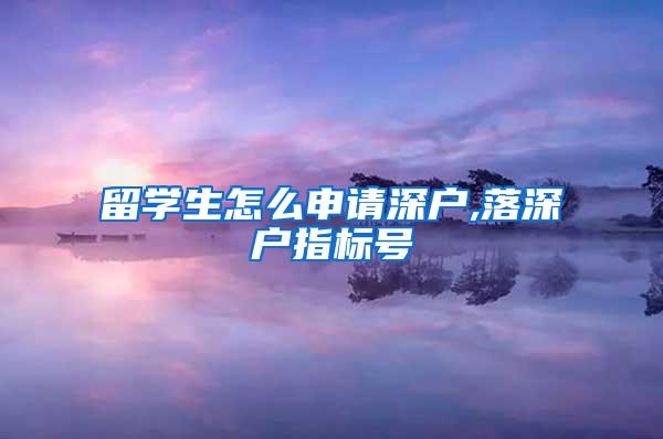 留学生怎么申请深户,落深户指标号