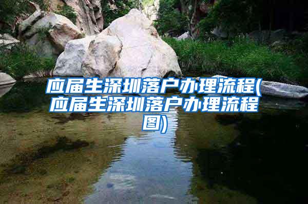 应届生深圳落户办理流程(应届生深圳落户办理流程图)