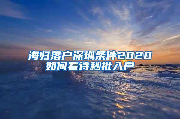 海归落户深圳条件2020如何看待秒批入户