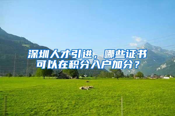 深圳人才引进，哪些证书可以在积分入户加分？