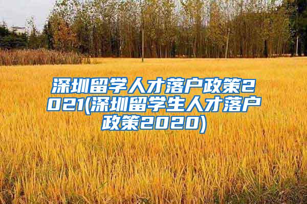 深圳留学人才落户政策2021(深圳留学生人才落户政策2020)