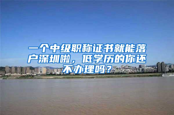 一个中级职称证书就能落户深圳啦，低学历的你还不办理吗？