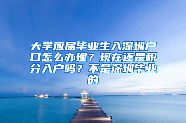 大学应届毕业生入深圳户口怎么办理？现在还是积分入户吗？不是深圳毕业的