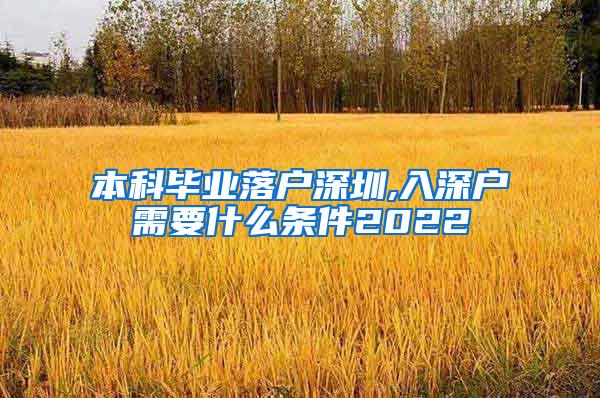 本科毕业落户深圳,入深户需要什么条件2022