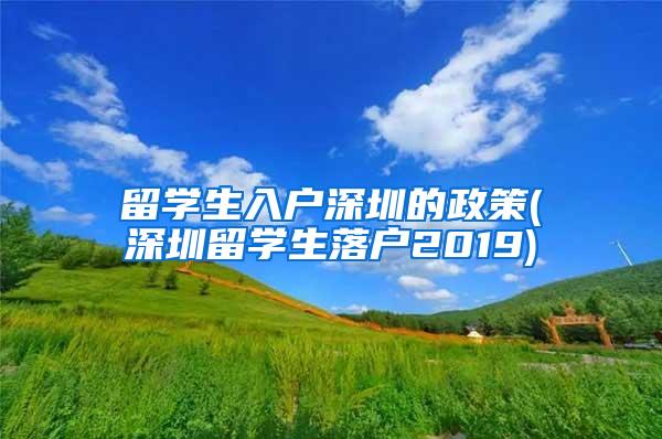 留学生入户深圳的政策(深圳留学生落户2019)