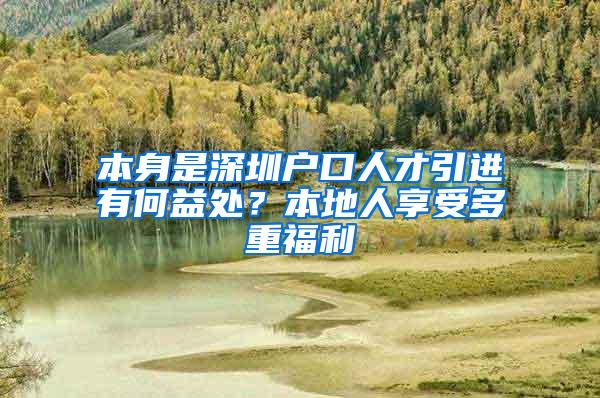 本身是深圳户口人才引进有何益处？本地人享受多重福利