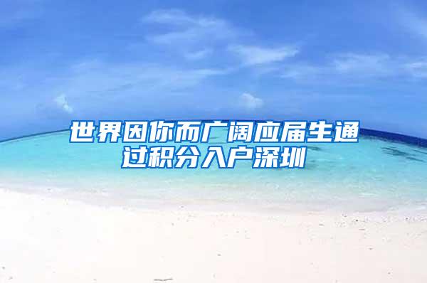 世界因你而广阔应届生通过积分入户深圳