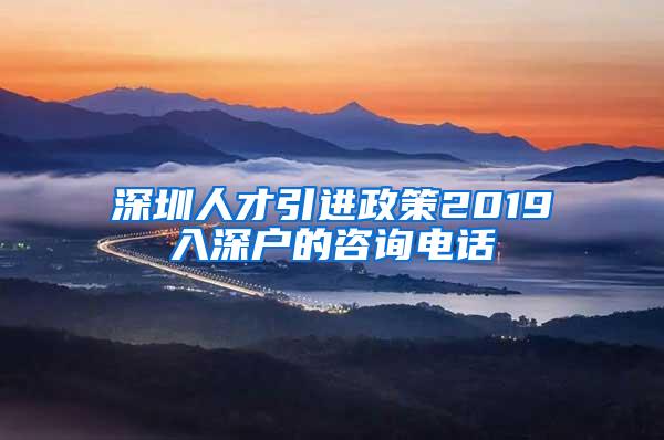 深圳人才引进政策2019入深户的咨询电话