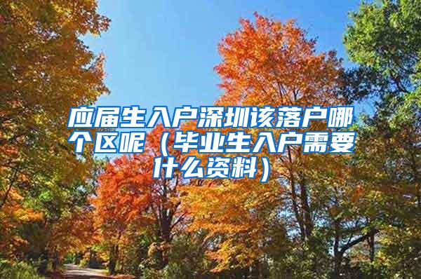 应届生入户深圳该落户哪个区呢（毕业生入户需要什么资料）