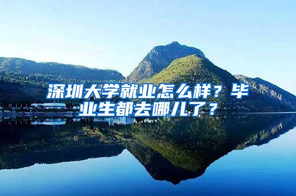 深圳大学就业怎么样？毕业生都去哪儿了？