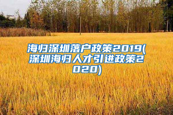 海归深圳落户政策2019(深圳海归人才引进政策2020)