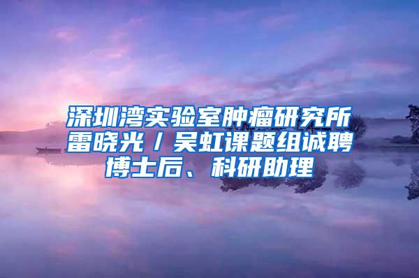 深圳湾实验室肿瘤研究所雷晓光／吴虹课题组诚聘博士后、科研助理