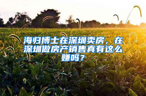 海归博士在深圳卖房，在深圳做房产销售真有这么赚吗？