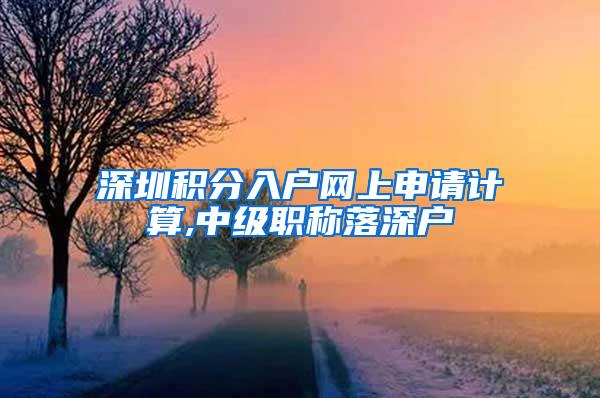 深圳积分入户网上申请计算,中级职称落深户